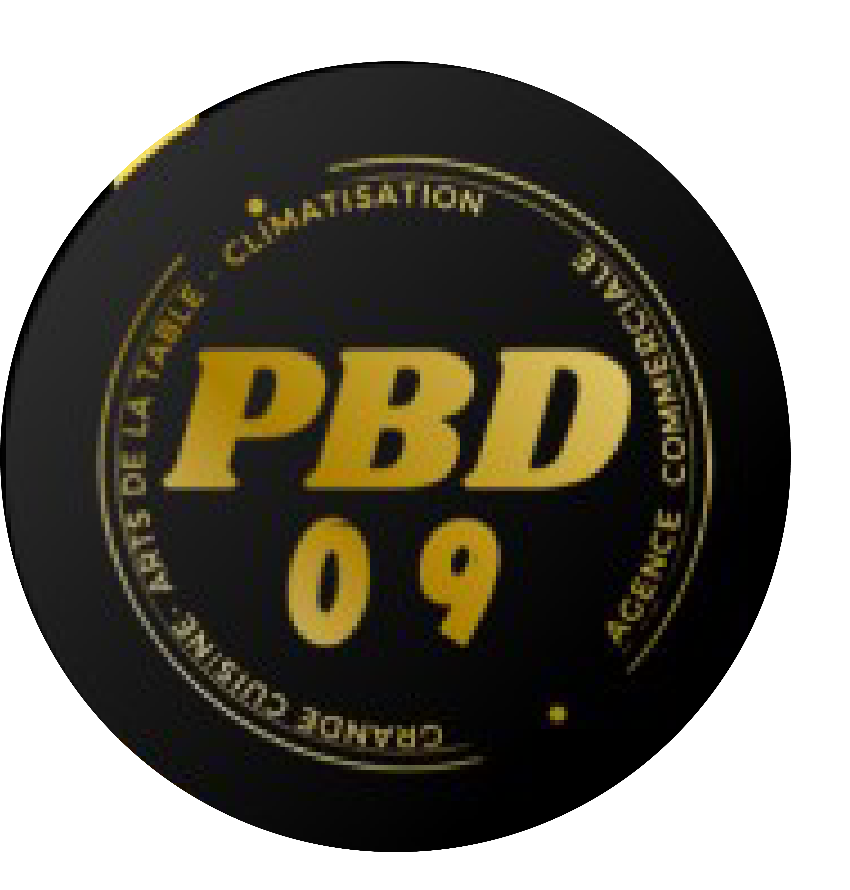 PBD09